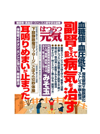 はつらつ元気 表紙